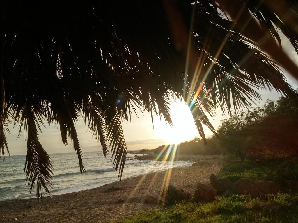 Holiday Beach Lumia Шакка Номер фото